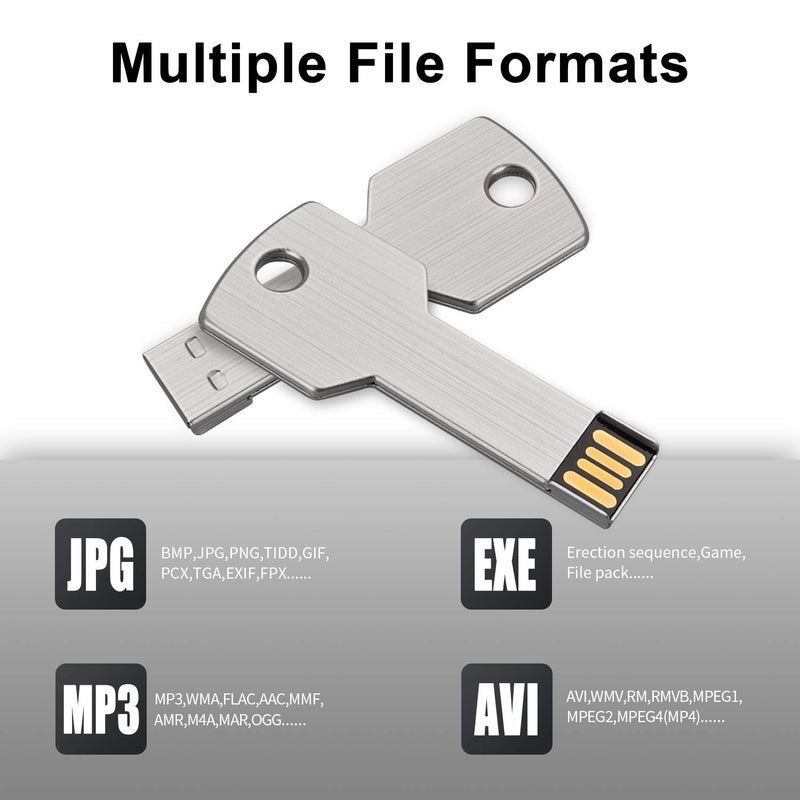 RAOYI 10 Pack 32GB USB Flash Drive USB 2.0 Metal Key Shape Memory Stick Thumb Drive Pen Drive-Silver - Image 3